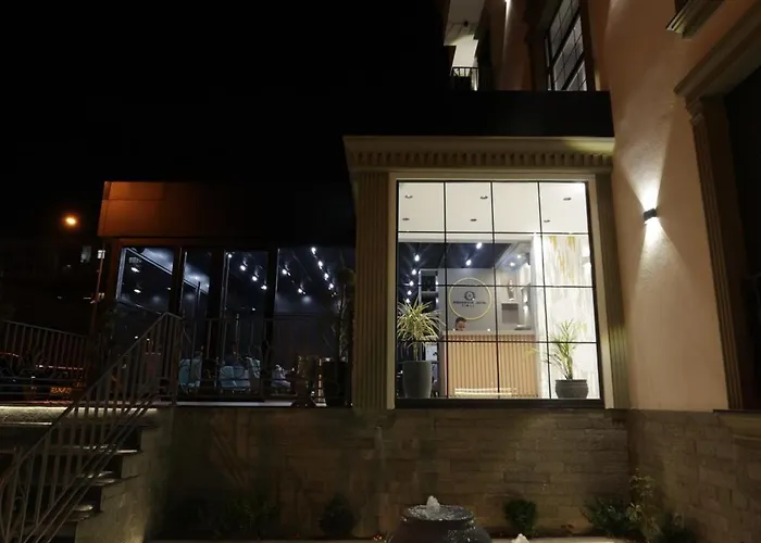 Residence Inn Hotel 4* 地拉那